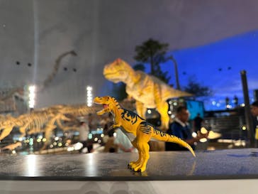 福井県立恐竜博物館に投稿された画像（2024/7/16）