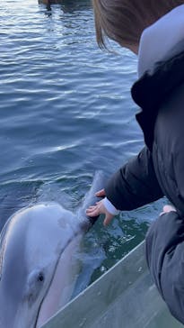 城崎マリンワールドに投稿された画像（2024/7/17）