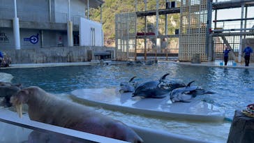 城崎マリンワールドに投稿された画像（2024/7/17）