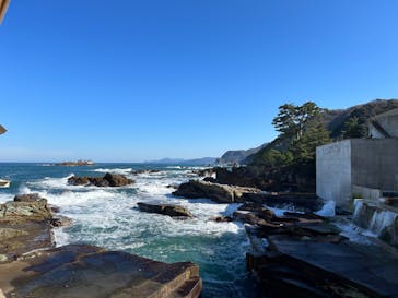 城崎マリンワールドに投稿された画像（2024/7/17）