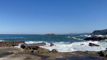 城崎マリンワールドに投稿された画像（2024/7/17）