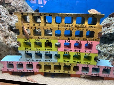 竹島水族館に投稿された画像（2024/7/17）