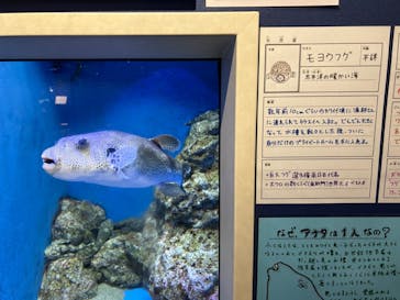 竹島水族館に投稿された画像（2024/7/17）