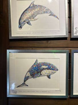 竹島水族館に投稿された画像（2024/7/17）