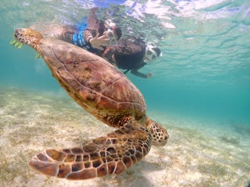 初心者専門宮古島シュノーケリングツアーに投稿された画像（2024/7/17）