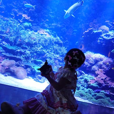 大分マリーンパレス水族館 「うみたまご」に投稿された画像（2024/7/17）