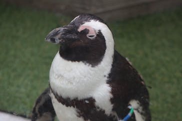 マリンワールド海の中道に投稿された画像（2024/7/17）