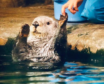 マリンワールド海の中道に投稿された画像（2024/7/17）