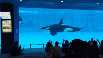 名古屋港水族館に投稿された画像（2024/7/17）