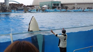 名古屋港水族館に投稿された画像（2024/7/17）