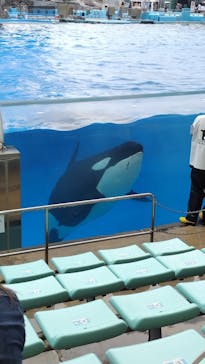 名古屋港水族館に投稿された画像（2024/7/17）