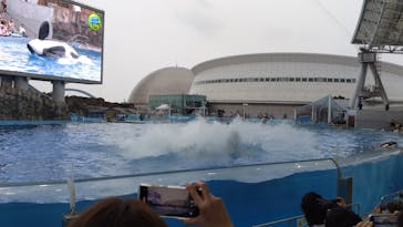 名古屋港水族館に投稿された画像（2024/7/17）