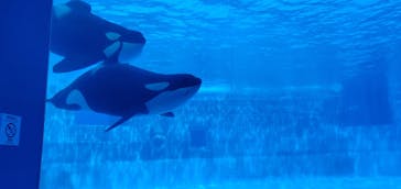 名古屋港水族館に投稿された画像（2024/7/17）