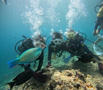 沖縄マリンサービス碧に投稿された画像（2024/7/17）