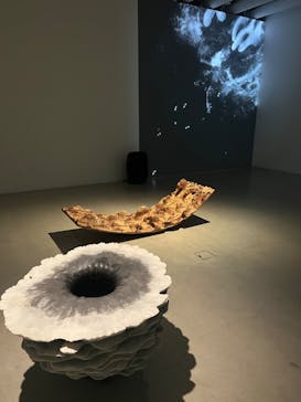 金沢21世紀美術館に投稿された画像（2024/7/17）