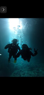 武藤潜水に投稿された画像（2024/7/17）