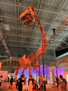 巨大恐竜展2024に投稿された画像（2024/7/17）