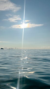 鳥取県自然体験塾に投稿された画像（2024/7/16）