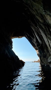 鳥取県自然体験塾に投稿された画像（2024/7/16）