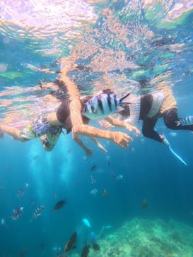 DIVING-SHOP SUNSに投稿された画像（2024/7/17）