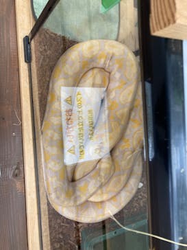 しろとり動物園に投稿された画像（2024/7/17）