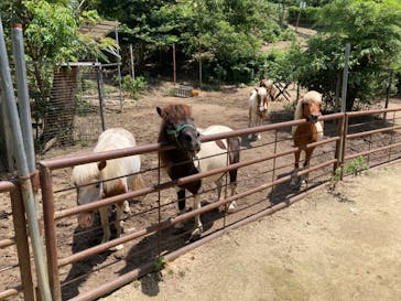 しろとり動物園に投稿された画像（2024/7/17）