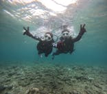 沖縄マリンサービス碧に投稿された画像（2024/7/17）