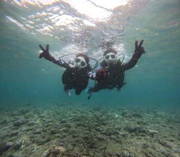 沖縄マリンサービス碧に投稿された画像（2024/7/17）