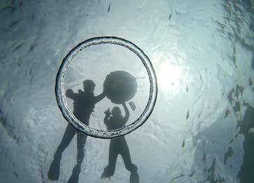 武藤潜水に投稿された画像（2024/7/17）