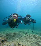 武藤潜水に投稿された画像（2024/7/17）