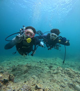 武藤潜水に投稿された画像（2024/7/17）