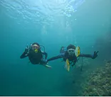 武藤潜水に投稿された画像（2024/7/17）