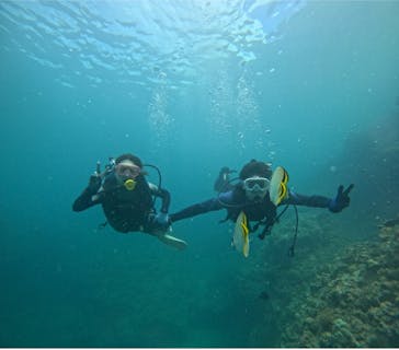 武藤潜水に投稿された画像（2024/7/17）