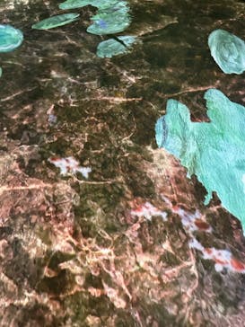 モネ＆フレンズ・アライブに投稿された画像（2024/7/17）