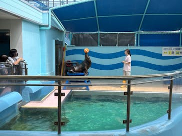 竹島水族館に投稿された画像（2024/7/17）