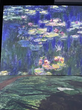 モネ＆フレンズ・アライブに投稿された画像（2024/7/17）