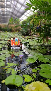 神戸どうぶつ王国に投稿された画像（2024/7/17）