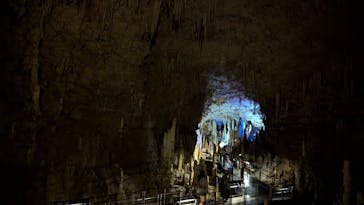 おきなわワールドに投稿された画像（2024/7/17）