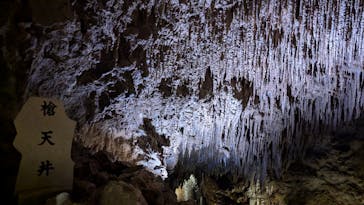 おきなわワールドに投稿された画像（2024/7/17）