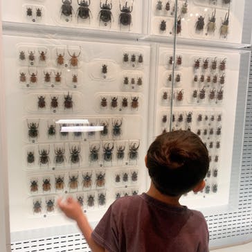 国立科学博物館に投稿された画像（2024/7/17）