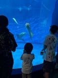アクアワールド茨城県大洗水族館に投稿された画像（2024/7/17）