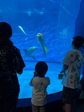 アクアワールド茨城県大洗水族館に投稿された画像（2024/7/17）