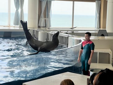 アクアワールド茨城県大洗水族館に投稿された画像（2024/7/17）