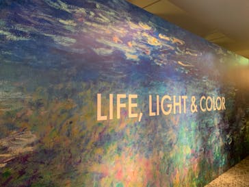 モネ＆フレンズ・アライブに投稿された画像（2024/7/17）