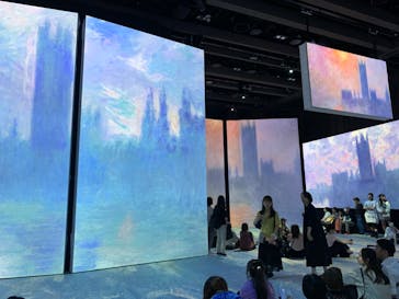 モネ＆フレンズ・アライブに投稿された画像（2024/7/17）