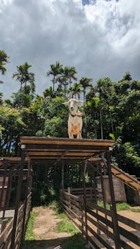 美らヤシパークオキナワ・東南植物楽園に投稿された画像（2024/7/17）