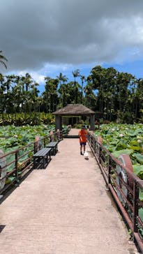 美らヤシパークオキナワ・東南植物楽園に投稿された画像（2024/7/17）