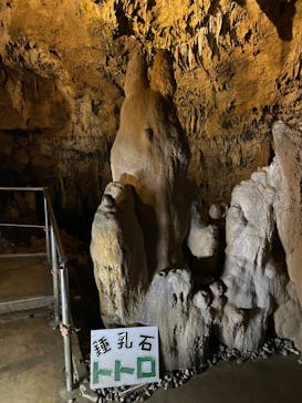 石垣島鍾乳洞に投稿された画像（2024/7/17）