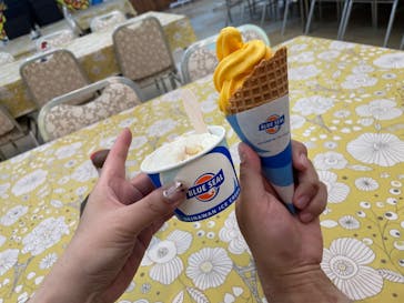 石垣島鍾乳洞に投稿された画像（2024/7/17）