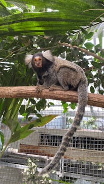 神戸どうぶつ王国に投稿された画像（2024/7/17）